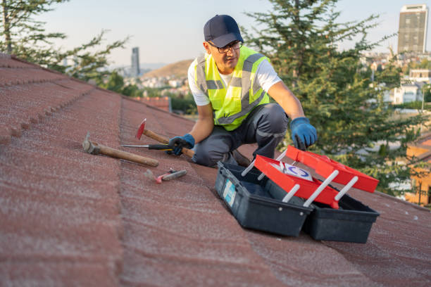 Best Fascia and Soffit Installation  in Locust Fork, AL